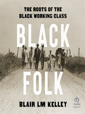 cover image of Black Folk